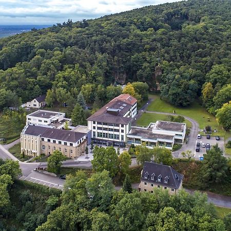 Kloster Neustadt Нойштадт-ан-дер-Вайнштрасе Экстерьер фото