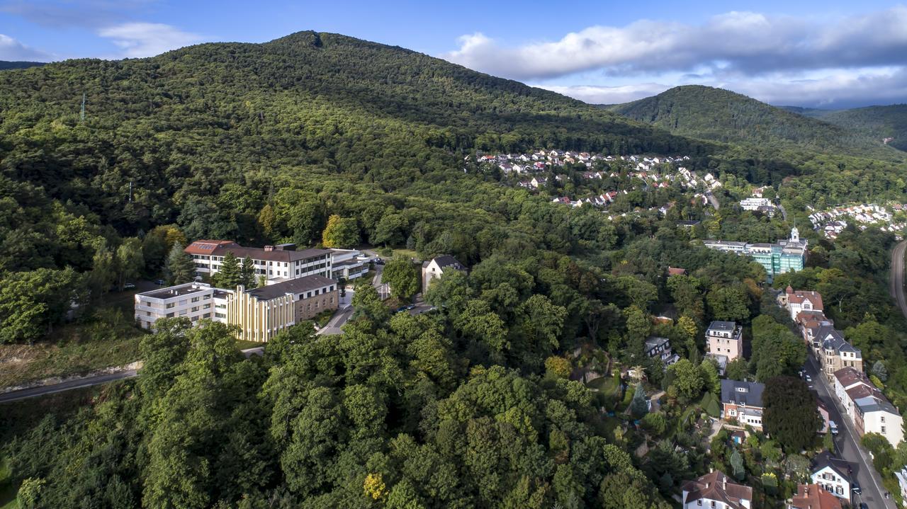 Kloster Neustadt Нойштадт-ан-дер-Вайнштрасе Экстерьер фото